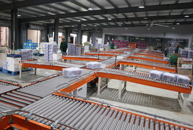 色综合久久久久无码专区