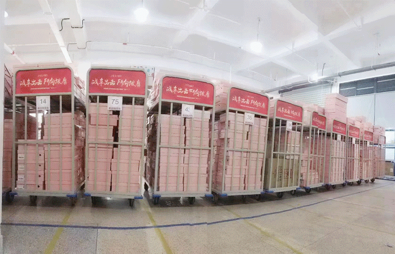 迎战“双11” | 宝开伴航进行时