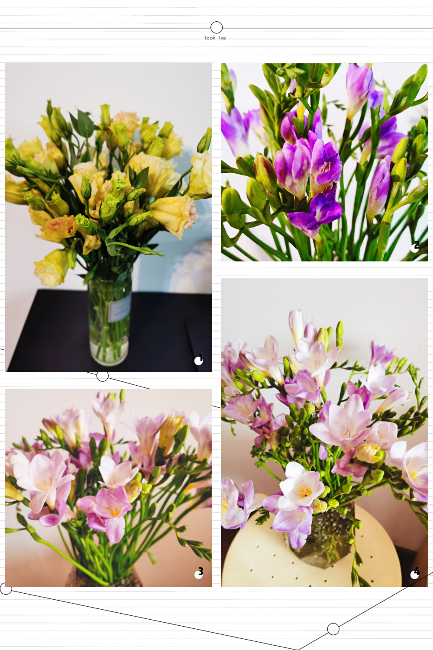 Happy Women’s Day | 战疫时期,这个三八节,我们“e”起过!