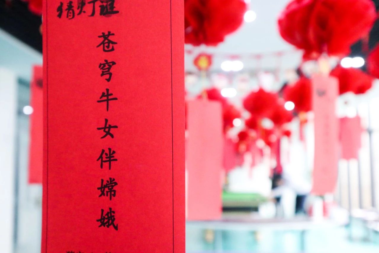 迎春纳福闹元宵,欢声笑语度上元 | 宝开元宵节系列活动报道